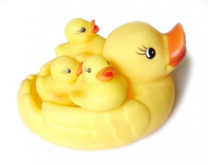 duck-family-1421671-639x507